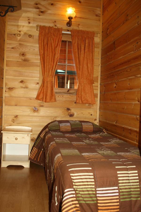 Bungalows Conca De Ter Vilallonga de Ter Phòng bức ảnh